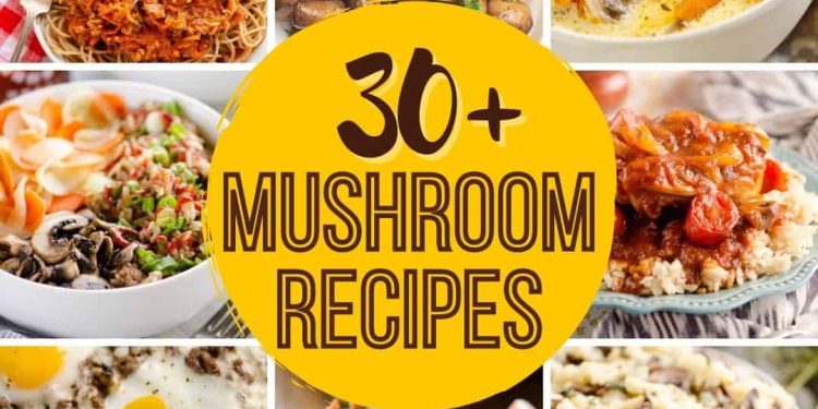 Load Up on mushrooms With These Healthy Recipes – Food