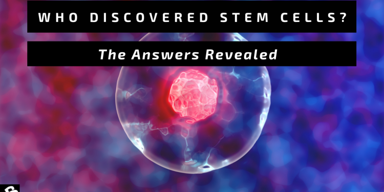 The Great Reinvention: Stem Cell Medicine in the 2020s – 2026